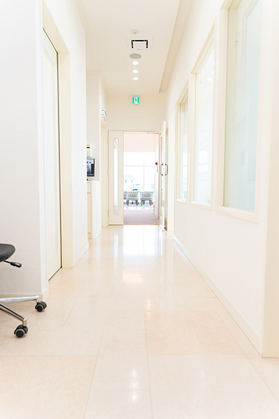 インテリア内装